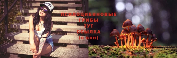 ECSTASY Карталы