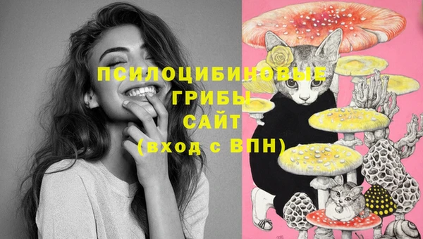 ECSTASY Карталы
