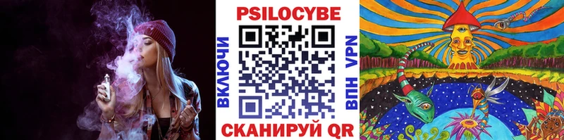 Купить  Арсеньев  Галлюциногенные грибы мицелий 